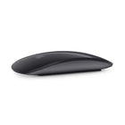 Apple Magic Mouse 1