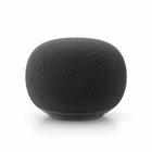 Google Home Speaker 1